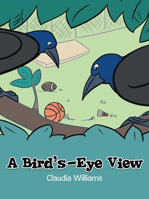 cover image of A Bird's-Eye View